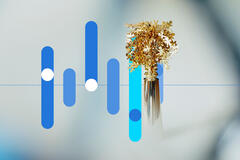 Randstad Employer Brand Research